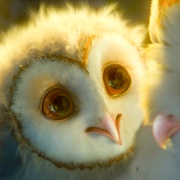 点击查看图片 猫头鹰王国:守卫者传奇 Legend of the Guardians: The Owls of Ga'Hoole