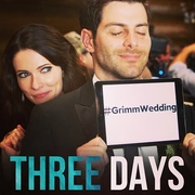 格林 第三季 Grimm Season 3