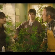 我家种大麻 Growing Op