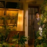 我家种大麻 Growing Op