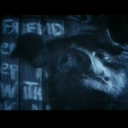 动物农庄 Animal Farm