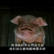 动物农庄 Animal Farm