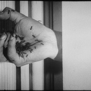 一条安达鲁狗 Un chien andalou