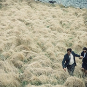 点击查看图片 龙虾 The Lobster