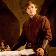 纳尼亚传奇2：凯斯宾王子 The Chronicles of Narnia: Prince Caspian