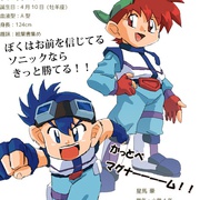 四驱兄弟 爆走兄弟レッツ&ゴー!!