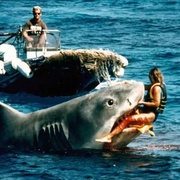 点击查看图片 大白鲨4 Jaws: The Revenge