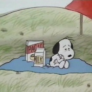 点击查看图片 史努比的惊险夏令营 Race for Your Life, Charlie Brown