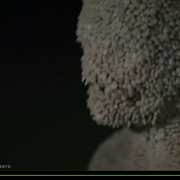 点击查看图片 零异频道 第一季 Channel Zero Season 1