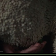 点击查看图片 零异频道 第一季 Channel Zero Season 1