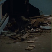 灰色花园中的比尔母女 The Beales of Grey Gardens