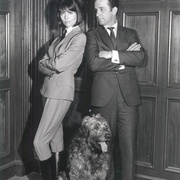 糊涂侦探 第一季 Get Smart Season 1