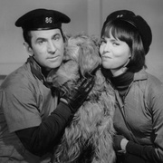 糊涂侦探 第一季 Get Smart Season 1