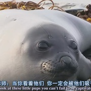 生命 Life