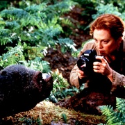 侏罗纪公园2：失落的世界 The Lost World: Jurassic Park