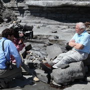 飞行巨兽 Flying Monsters 3D with David Attenborough