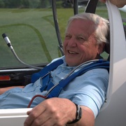 飞行巨兽 Flying Monsters 3D with David Attenborough