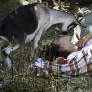 羊群 Goats