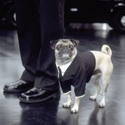 黑衣人2 Men in Black II