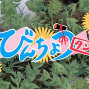 备长炭 びんちょうタン