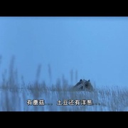 点击查看图片 雪行者 The Snow Walker