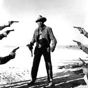 从拉莱米来的人 The Man from Laramie