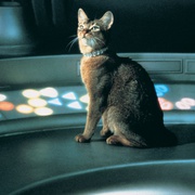鬼马太空猫 The Cat from Outer Space