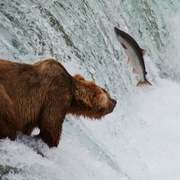 北美国家公园全纪录 The National Parks: America's Best Idea