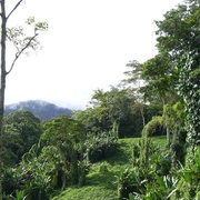 点击查看图片 苦战科科达 Kokoda