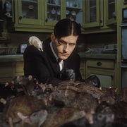 驭鼠怪人 Willard