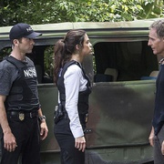 海军罪案调查处：新奥尔良 第三季 NCIS: New Orleans Season 3