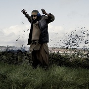 四头狮子 Four Lions