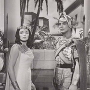 点击查看图片 埃及人 The Egyptian