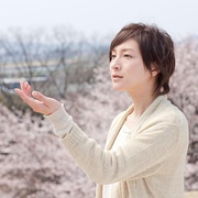 樱，重逢的加奈子 桜、ふたたびの加奈子