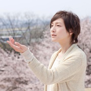 樱，重逢的加奈子 桜、ふたたびの加奈子