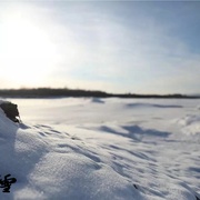 沉默的雪