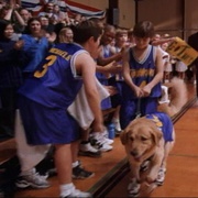 飞狗巴迪 Air Bud