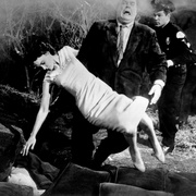 外太空计划9 Plan 9 from Outer Space
