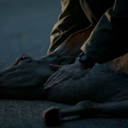 车轮上的欧洲 Move On