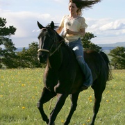 弗莉卡 Flicka