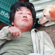 奔跑的乌龟 거북이 달린다