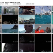 颤栗汪洋3 Open Water 3: Cage Dive