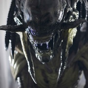 异形大战铁血战士2 AVPR: Aliens vs Predator - Requiem