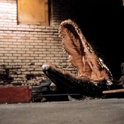 大鳄鱼 Alligator