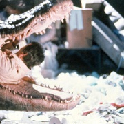 大鳄鱼 Alligator
