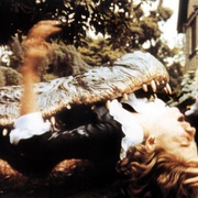 大鳄鱼 Alligator
