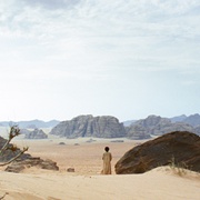 希布 ذيب