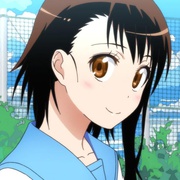伪恋 ニセコイ