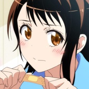伪恋 ニセコイ