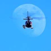 飞翔的艺术 The Art of Flight